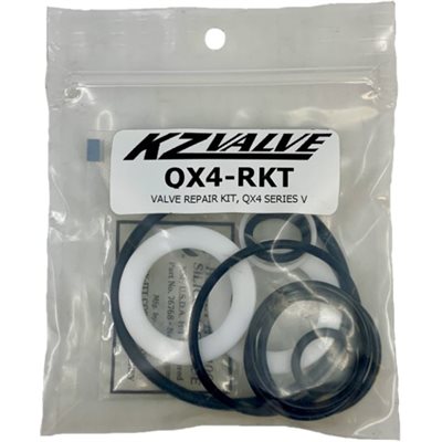 1" QX Series Valve Repair Kit - Seats, seals, o-rings, thrust washer, silicon packet